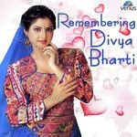Remembering Divya Bharti - Nadeem - Shravan Song Download